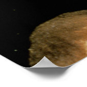 De Anatomy Lesson van Dr. Nicolaes Tulp, 1632 Poster (Hoek)