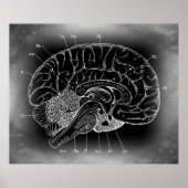 DE ANCIËNTE MYSTERIEUZE BRAIN POSTER (Voorkant)