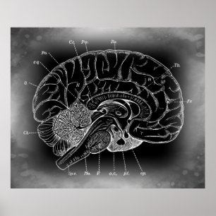 DE ANCIËNTE MYSTERIEUZE BRAIN POSTER