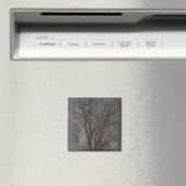 De andere kant van ergens magneet (Insitu (Vaatwasser))