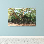 De Angel Oak Waterverf Canvas Afdruk (Insitu (Houten vloer))