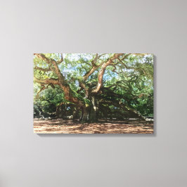 De Angel Oak Waterverf Canvas Afdruk