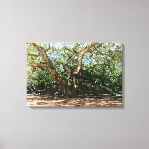 De Angel Oak Waterverf Canvas Afdruk