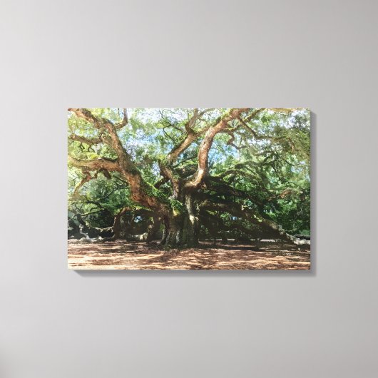 De Angel Oak Waterverf Canvas Afdruk (Voorkant)