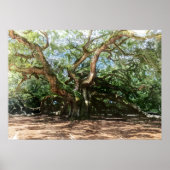 De Angel Oak Waterverf Poster (Voorkant)