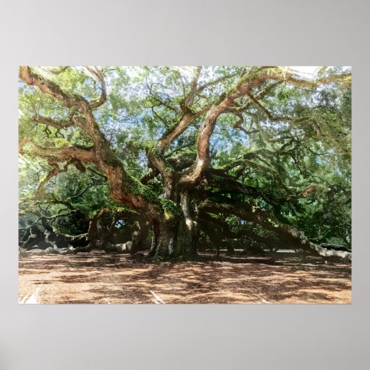 De Angel Oak Waterverf Poster (Voorkant)