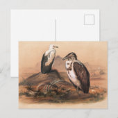 De Angolees Vultuur van Joseph Wolf Briefkaart (Voorkant / Achterkant)