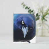 De Angry Grackle Briefkaart (Staand voorkant)