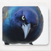 De Angry Grackle Muismat (Voorkant)