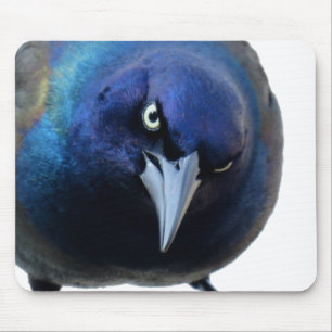 De Angry Grackle Muismat
