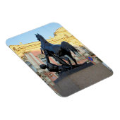 De Anichkov-brug in Sint-Petersburg Magneet (Rechterzijde)