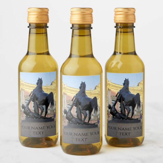 De Anichkov-brug in Sint-Petersburg Wijn Etiket (Flessen)