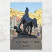 De Anichkov-brug in Sint-Petersburg Wijn Etiket (Enkel label)