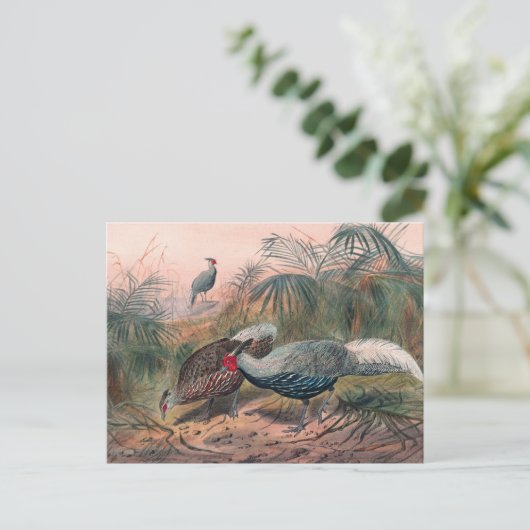 De anonieme fazant van Joseph Wolf Briefkaart (Staand voorkant)