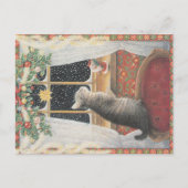 De ansichtkaart van de Kat van Kerstmis Briefkaart (Voorkant)