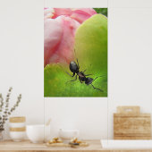 De Ant en de Peony Poster (Keuken)