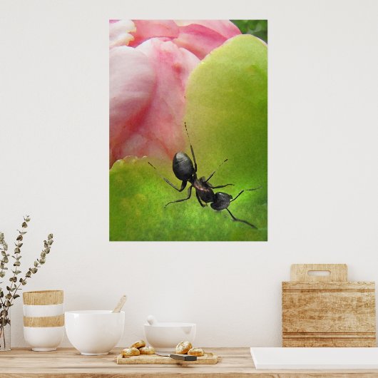 De Ant en de Peony Poster (Keuken)