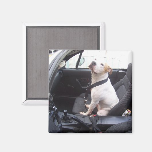 De Anti Michael Vick Magneet (Voorkant / Achterkant)