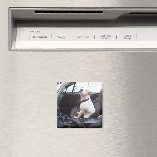 De Anti Michael Vick Magneet (Insitu (Vaatwasser))