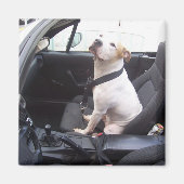 De Anti Michael Vick Magneet (Voorkant)