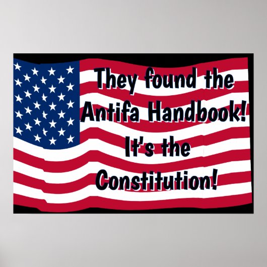 De Antifa-handleiding Patriottisch (ds) Poster (Voorkant)