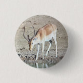 De antilope, ronde button 3,2 cm (Voorkant)