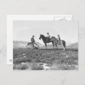 De Antilopen van Petting Briefkaart (Voorkant / Achterkant)