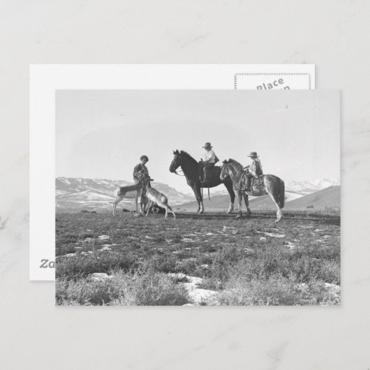 De Antilopen van Petting Briefkaart (Voorkant / Achterkant)