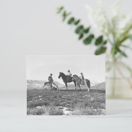 De Antilopen van Petting Briefkaart (Staand voorkant)