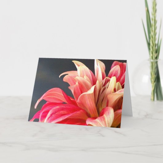 De any-kans-card. bedankkaart (Voorkant)