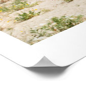 De Anza Borrego-woestijn Poster (Hoek)