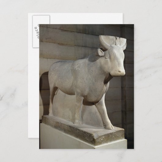 De Apis Bull, uit het Serapeum, Memphis Briefkaart (Voorkant / Achterkant)
