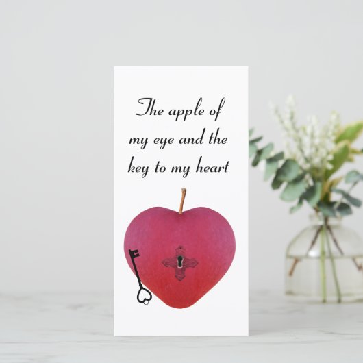 De appel van mijn oog en de sleutel tot mijn hart (Staand voorkant)