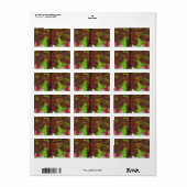 De Appelboom Etiket (Full Sheet)