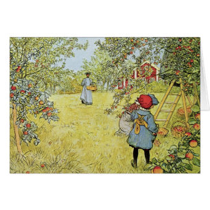 De appeloogst