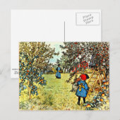 De appeloogst briefkaart (Voorkant / Achterkant)