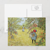 De appeloogst briefkaart (Voorkant / Achterkant)