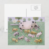 De Apple Feast Briefkaart (Voorkant / Achterkant)