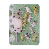 De Apple Feast Magneet (Verticaal)