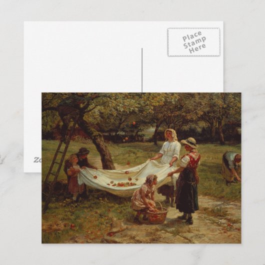 De Apple Gatherers, 1880 Briefkaart (Voorkant / Achterkant)