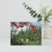 De Apple Orchard Briefkaart (Staand voorkant)