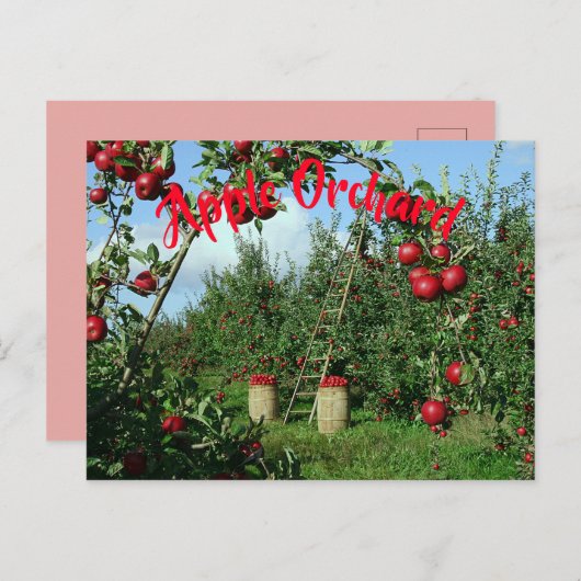 De Apple Orchard Briefkaart (Voorkant / Achterkant)