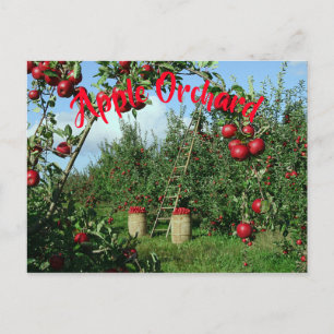 De Apple Orchard Briefkaart