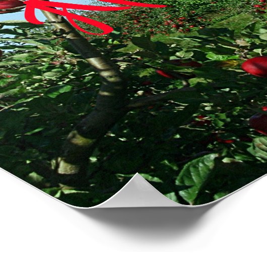 De Apple Orchard Poster (Hoek)