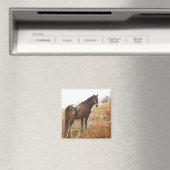 De Appy Magneet (Insitu (Vaatwasser))