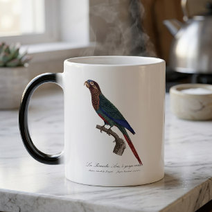 De Ara-parkiet, met gevarieerde keel  Magische Mok