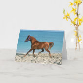 De Arabische kastanjestroop loopt op strand Kaart (Gele Bloem)