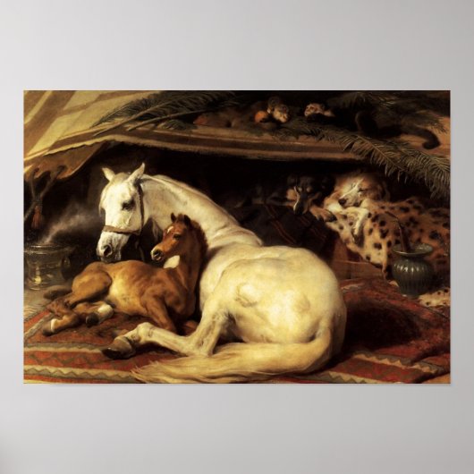 DE ARABISCHE TENT MET HOREN EN ANDERE DIEREN POSTER (Voorkant)