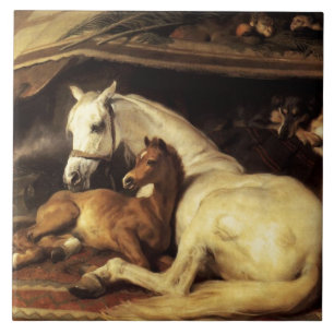 DE ARABISCHE TENT MET HOREN EN ANDERE DIEREN TEGELTJE