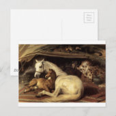 De Arabische Tent van Edwin Henry Landseer Briefkaart (Voorkant / Achterkant)